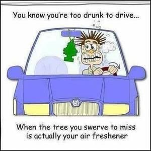 Meet your Posher, Cynthia